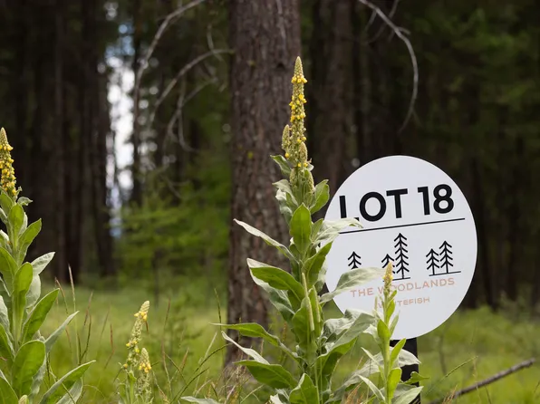 142 Rosewood Ln Lot 18, Whitefish, MT 59937