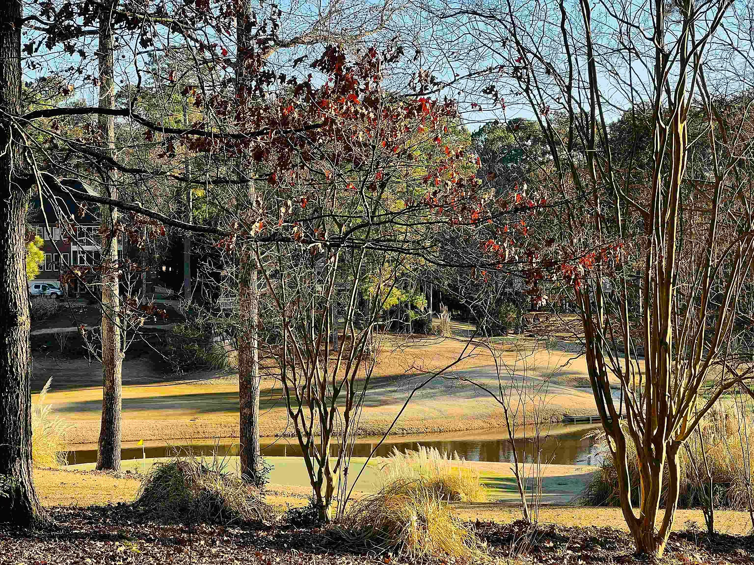 1010 Emerald View Dr photo 1