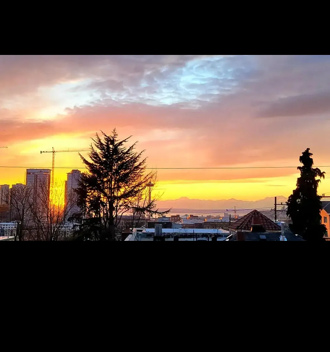 1 bed, 553 sqft, $2,600 — Photo 1
