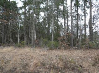 Tbd Patriot Rd, Manning, SC 29102