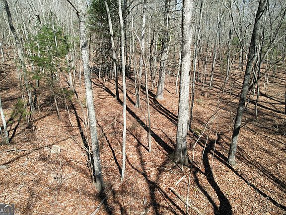 3rd image of 0 Curtis Switch Rd