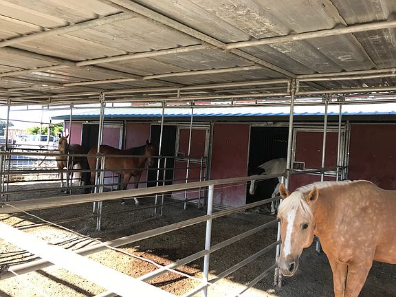 4 stalls with 4 runs