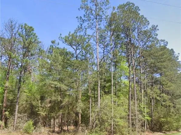 26069 Pine View Dr, Folsom, LA 70437