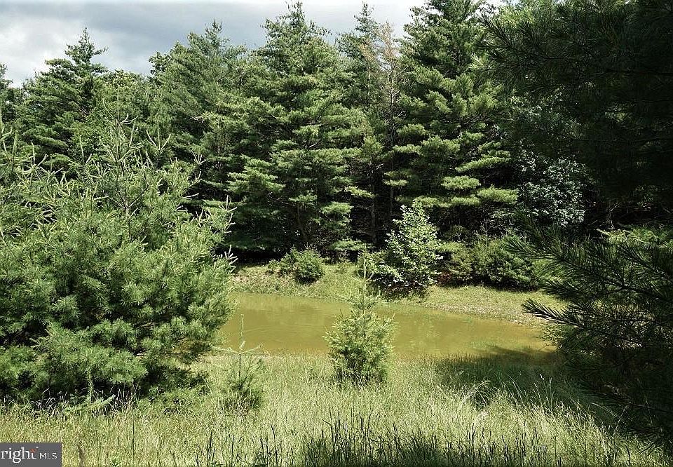 Route 2/2 Off, Franklin, WV 26807 MLS WVPT2000480 Zillow