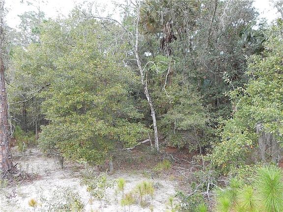 4th image of 27134 Hawks Nest Cir