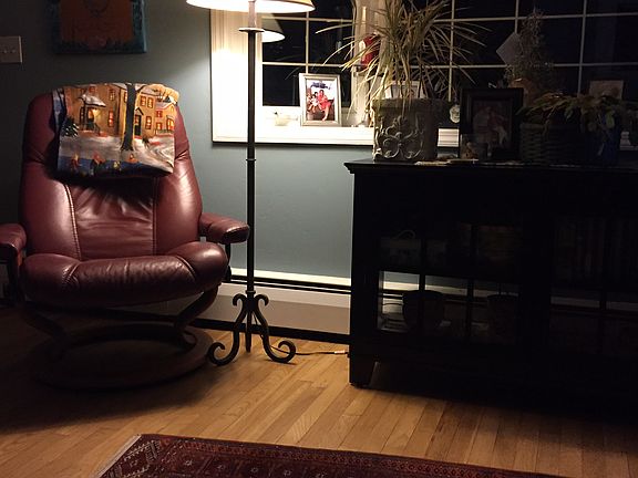 Living room bay window 