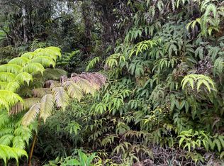 Liona St LOT 53-B-149, Volcano, HI 96785
