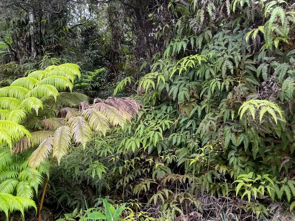 Liona St Lot 53-B-149, Volcano, HI 96785