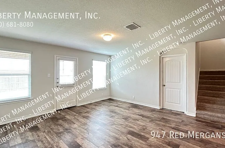 947 Red Merganser — Photo 12