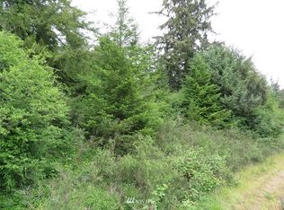 0 Highway 101, Humptulips, WA 98552