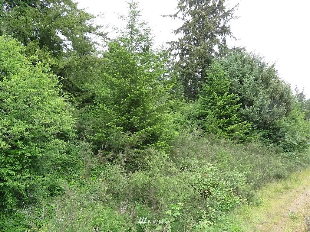 0 Hwy 101 photo 1