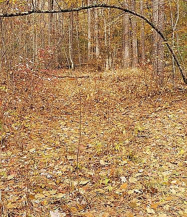 5th image of 2757 Hwy 282 Parcel 0108 023
