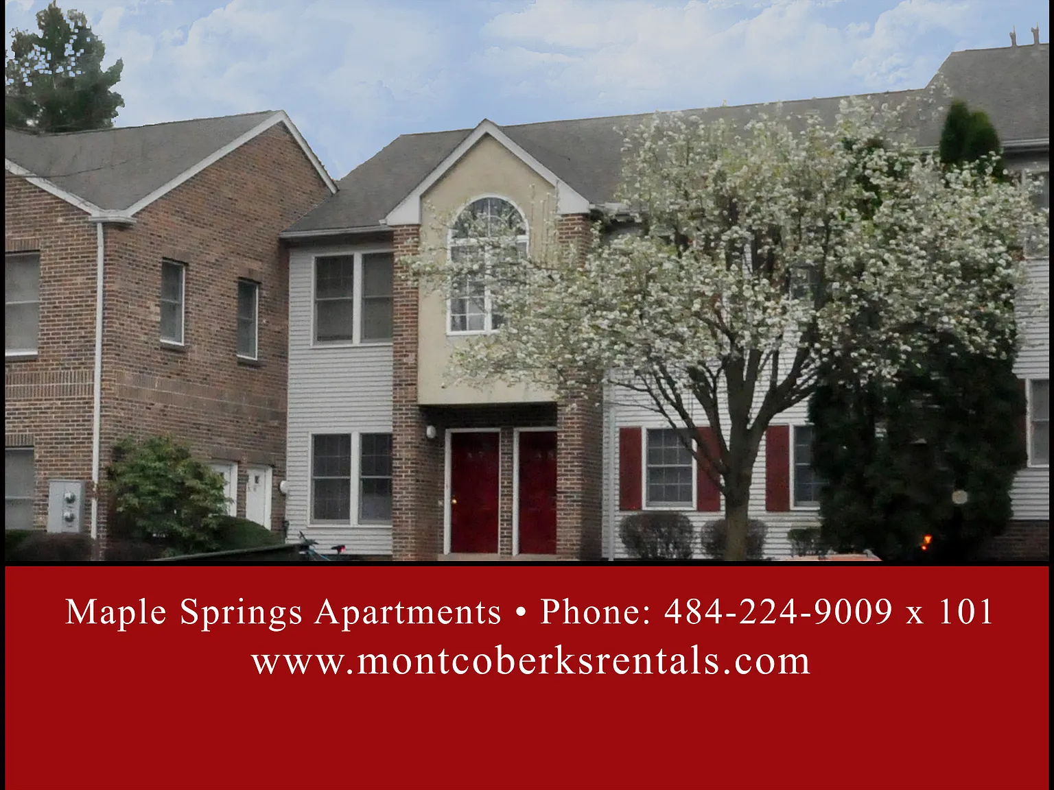2 bed, $1,650 — Photo 1