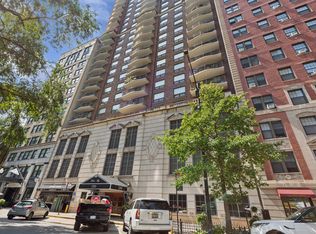 1250 N Dearborn St APT 9C, Chicago, IL 60610