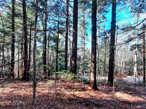 00 Town Farm Road, Ludlow, VT 05149