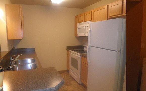 Kitchen area with Fridge, Oven, and Microwave