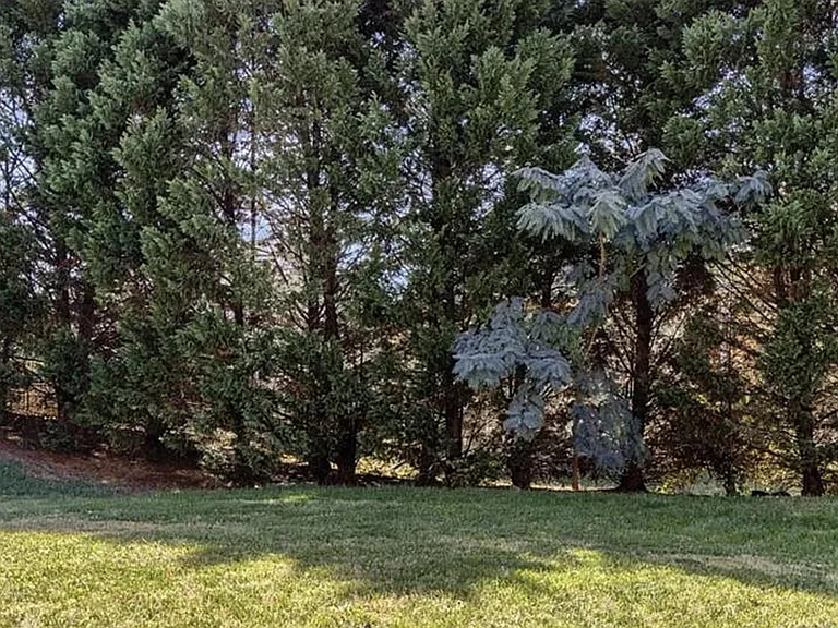 1212 Oakdale Commons Ct — Photo 12