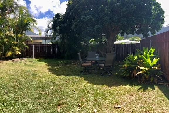 Fruit tree in backyard