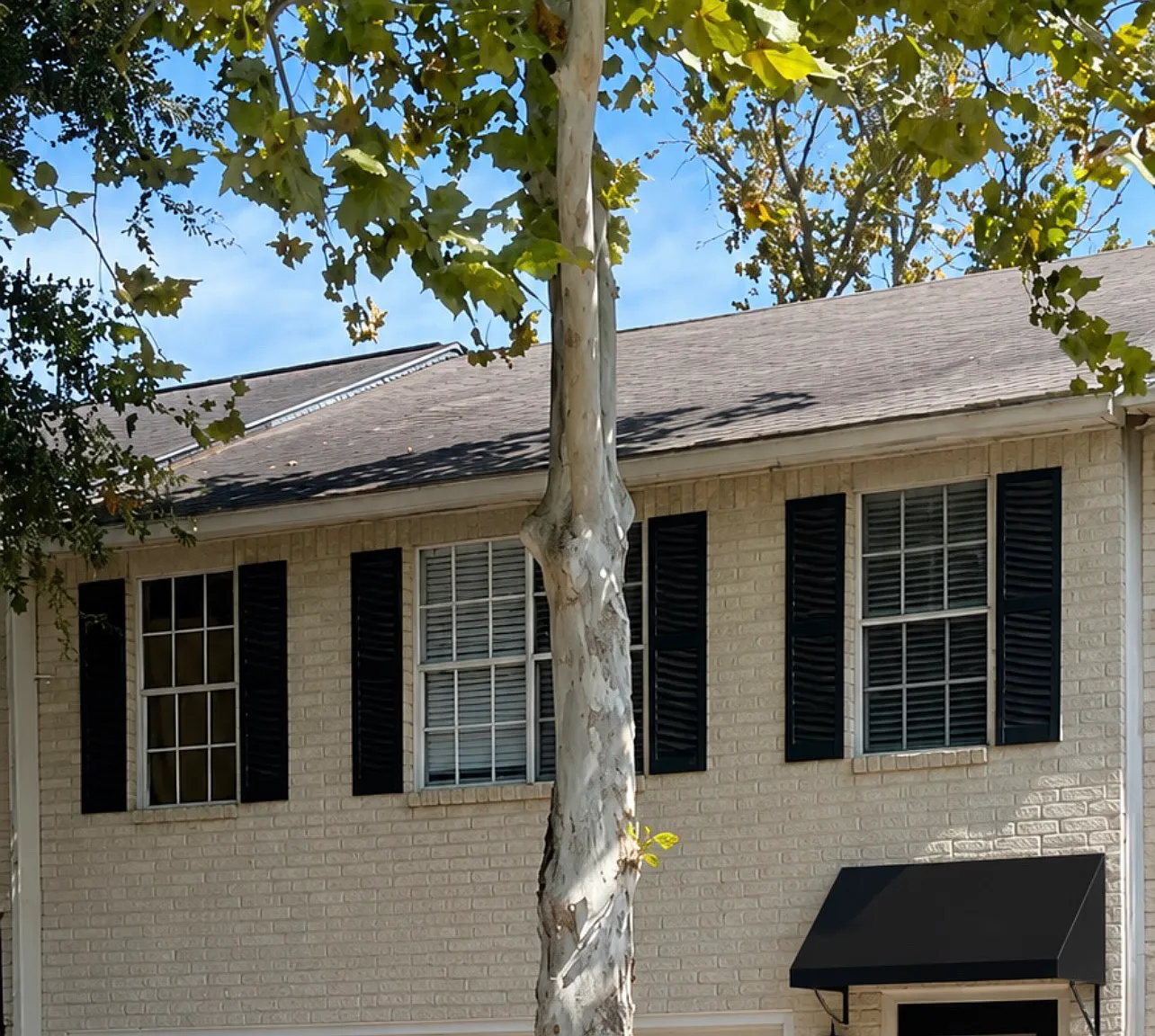 2 bed, 1462 sqft, $1,650 — Photo 1