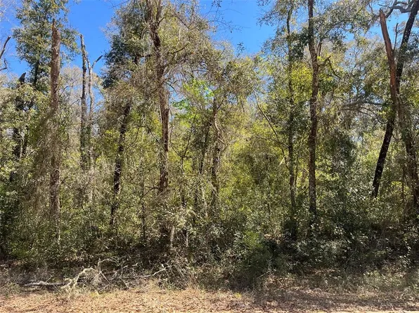 Walker #5, Interlachen, FL 32148