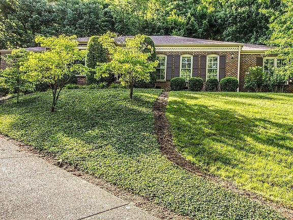 Terrific wooded views from front and back of home