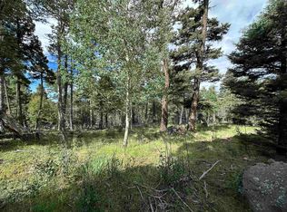 LOT 1437 Cheerful Way, Angel Fire, NM 87710
