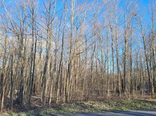 0 Italy Friend Rd #22, Branchport, NY 14418