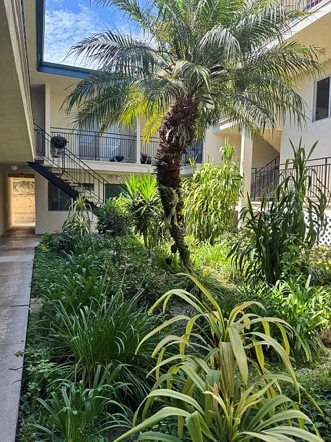 1 bed, $1,800 — Photo 2