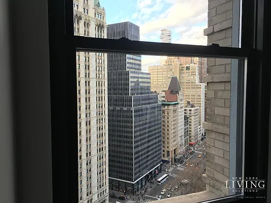 Rented by NY Living Solutions | media 32