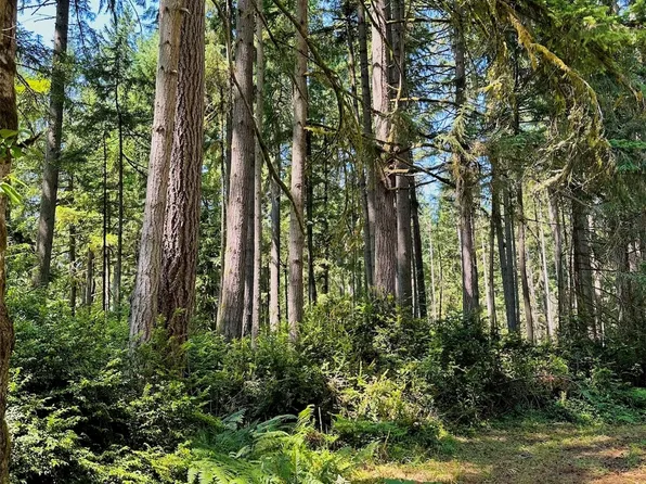 11711 112th Avenue, Anderson Island, WA 98303
