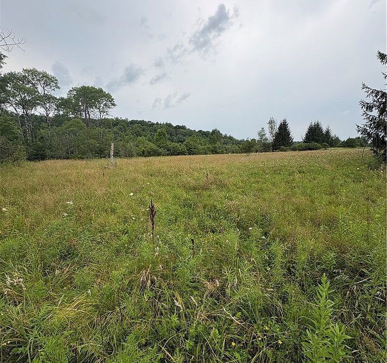 1st image of LOT 8605 Two County Rte Lot 96-66