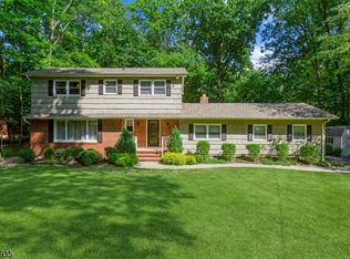 23 Blue Ridge Ave, Green Brook, NJ 08812