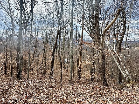 2nd image of 50 Scenic Wolf Ridge Rd