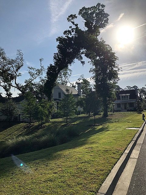 1st image of 12 City Walk Way