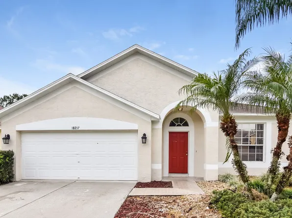 18217 Brookpark Dr, Tampa, FL 33647