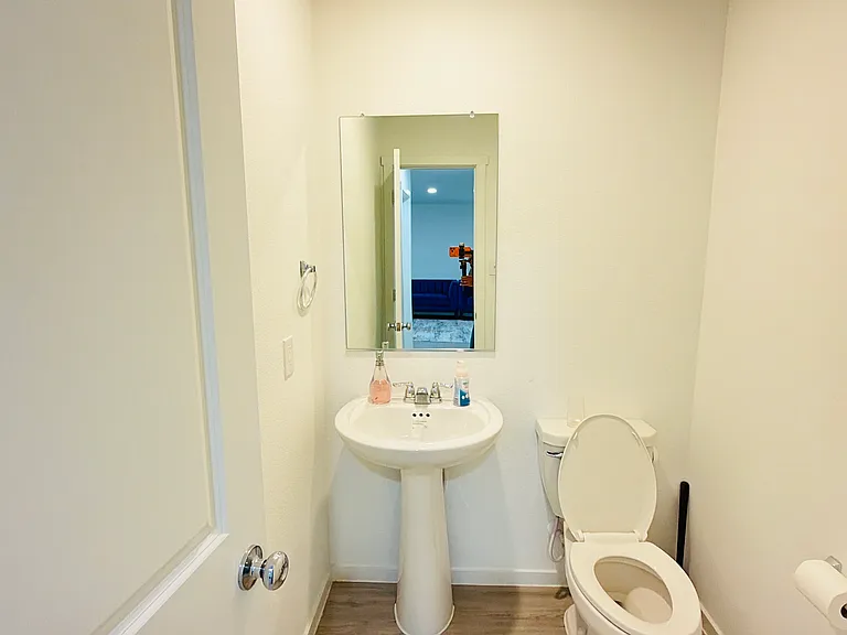 217 Adelina Dr — Photo 22