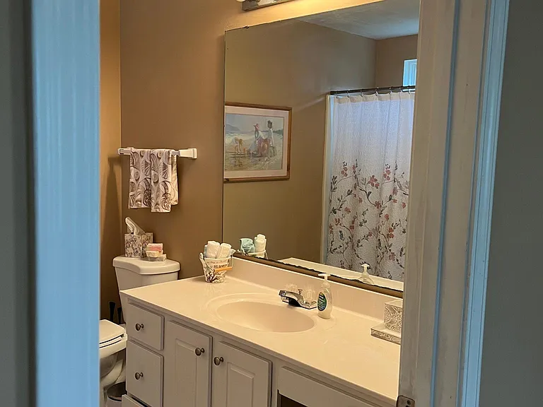 4504 Planters Row Way — Photo 9