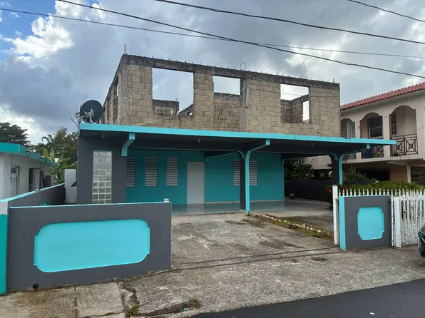 295 Sector Santana 2, Juncos, PR 00777