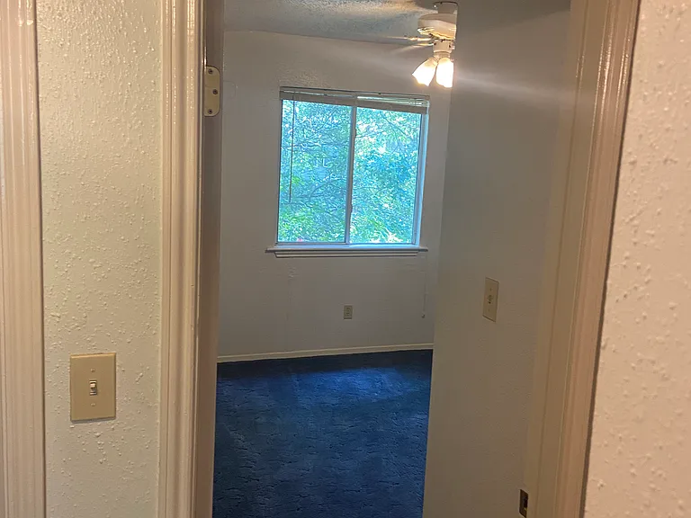 114 Lady Bird Ln #4 — Photo 6