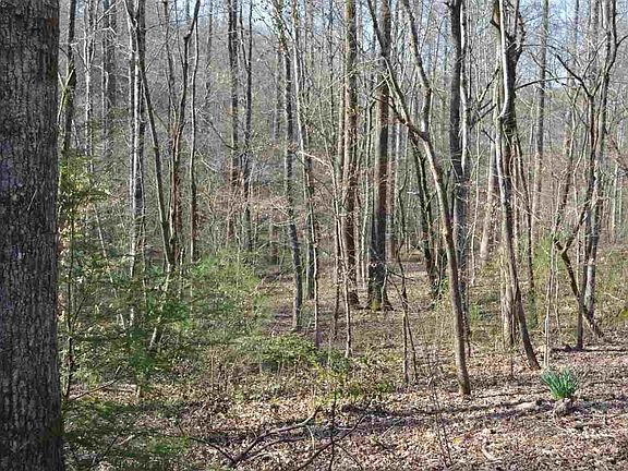 4th image of 0 Tom Henry Rd Lot 3