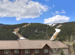 47 W Hanson Rd, Keystone, CO 80435