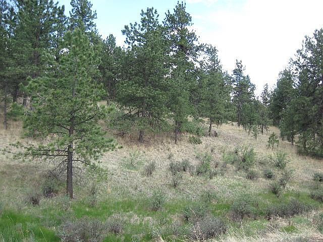 Wonderful acreage with power, small stream and lots of privacy!