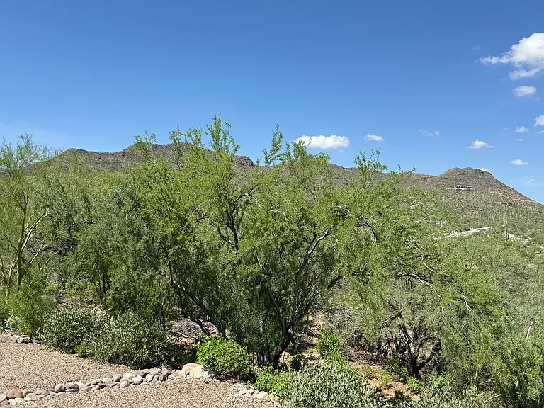 4440 W Mountain Side Dr — Photo 51