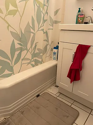 Rented by Manhattan Flats | media 4