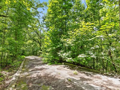 0 Cloud 9 Ln, Flintstone, GA, 30725