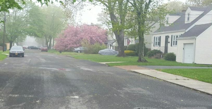 2nd image of 32 N Hamilton Ave