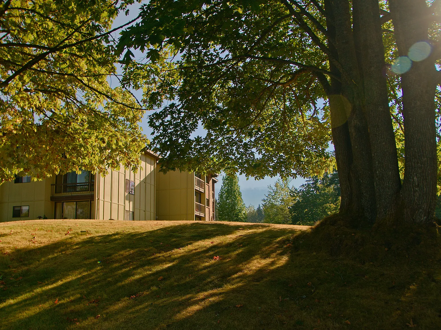 Old Mill Village — Photo 3