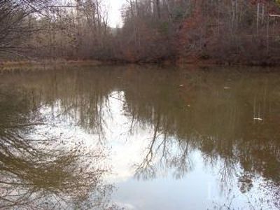 0 Round Mountain Loop Lot 52, Madison Heights, VA, 24572