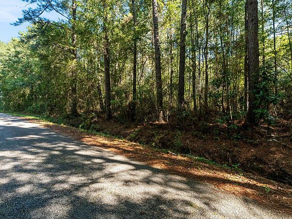 3rd image of 0 Gator Reid Rd
