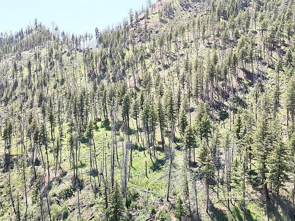 2nd image of 0 xxx Golden Creek Loop Road